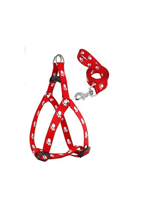 Pups&Pets مجموعة Pups&Pets Pet Combo Puppy Paw Print Tuppy Tupness Tudding Leach للكلاب الصغيرة والجراء (أحمر) - Image 1